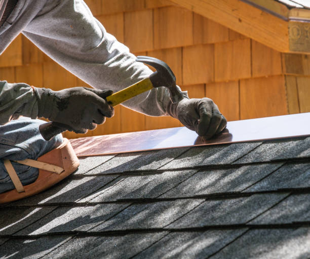 Best Metal Roofing Contractor  in Homosassa Springs, FL